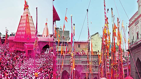 जोतिबा यात्रेसाठी उपस्थित लाखो भाविक गुलालात अक्षरश: न्हाऊन निघाले होते व जोतिबा यात्रेचे वैशिष्ट्य असणार्या सासनकाठ्यांनी आकाशाला गवसणी घातली होती.