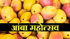 नाशिक www.pudhari.news