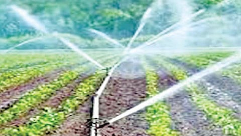 रत्नागिरी : ठिबक सिंचन अनुदानात वाढ