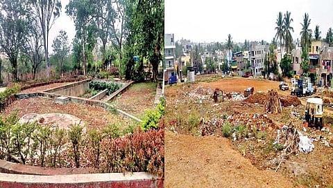 कोल्हापूर : कचर्याची समस्या गंभीर; मोकाट जनावरांचा उपद्रव