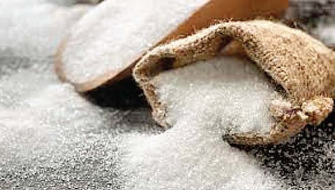 100 लाख टन साखर निर्यातीलाच परवानगी