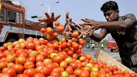 टोमॅटो