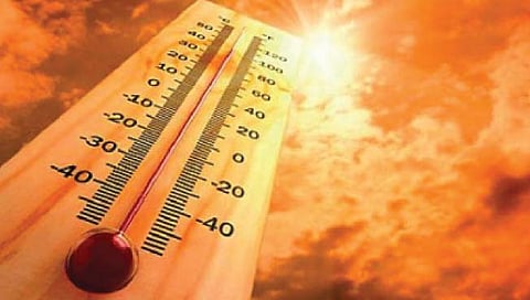 राज्यात आणखी चार दिवस उष्णतेची लाट