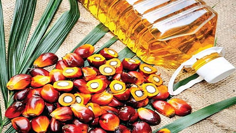 Palm oil : महागाईच्या आगीत ‘पामतेल’