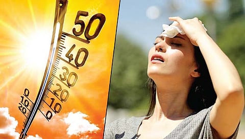Temperature Increases : देशात उष्णतेची लाट नाही, पण ‘या’ भागातील तापमान वाढणार ; IMD दिल्लीचा इशारा