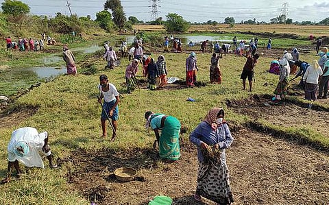 पुणे : रोजगार हमी योजनेत उद्दिष्टापेक्षाही अधिक रोजगार उपलब्ध