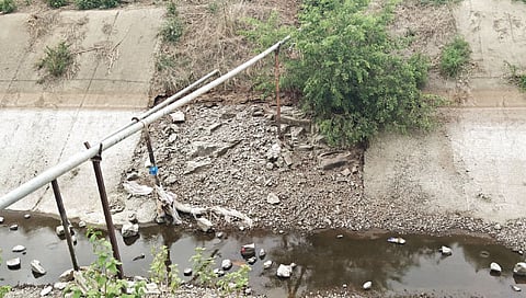 महत्वाकांक्षी टेंभू सिंचन योजना पोखरली भ्रष्टाचाराने