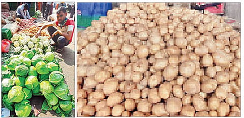 कोबी, बटाटा महागला; जाणून घ्या आजचे दर एका क्लीक वर