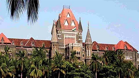 Bombay High Court : पुरेशी कौटुंबिक न्यायालये का नाहीत?, हायकोर्टाचे राज्य सरकारवर ताशेरे