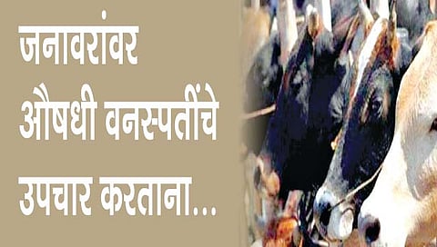 औषधी