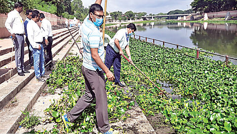 नाशिक : गोदातटीच्या पाणवेली काढण्यास प्रारंभ