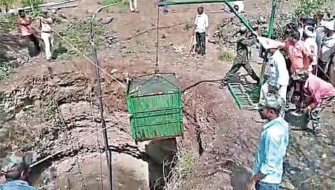 नाशिक : 80 फूट खोल विहिरीत पडलेल्या बिबट्याला बाहेर काढण्यात वनविभागाला यश