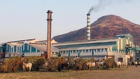 उदयसिंह पाटील गट ‘अॅक्टिव्ह’ मोडमध्ये