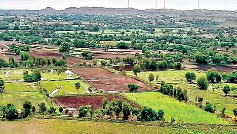 जत पश्चिम, उत्तरमध्ये ऊसक्षेत्र वाढले
