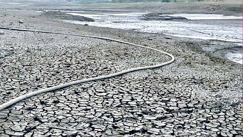 सांगली : टेंभूच्या पाण्यासाठी शेतकर्यांची वणवण