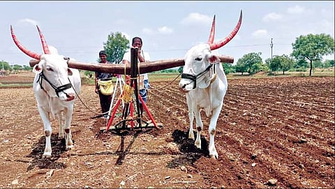 पाऊसाविना खरीप पेरण्यांचा खोळंबा
