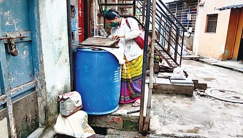 कोल्हापूर शहरात 17 ठिकाणी आढळल्या डेंग्यू डासांच्या अळ्या