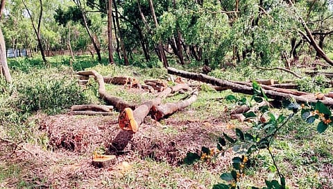 File Photo