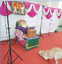 श्वान ‘विराट’ माउलींच्या चरणी नतमस्तक