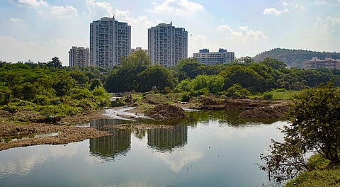 शहरात शनिवारी रिव्हर प्लॉगेथॉन; प्लास्टिकमुक्त अभियानास नागरिकांचा प्रतिसाद