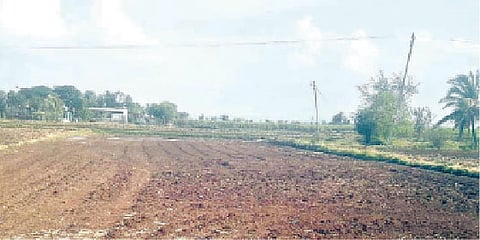पावसाची दडी; पेरण्या खोळंबल्या!