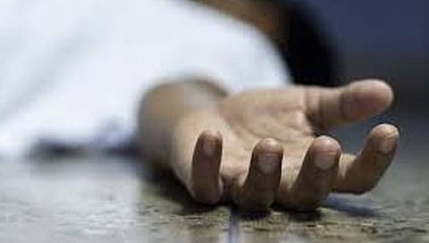 नाशिक : झाडाची फांदी तोडताना तोल जाऊन एकाचा मृत्यू