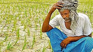 मुळशीतील शेतकरी संकटात; शेतीकामांना होतोय विलंब