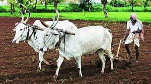 पूर्ण कर्जफेड ठरणार फायदेशीर; शेतकर्यांना प्रोत्साहनपर लाभ देण्यासाठी अध्यादेश लवकरच