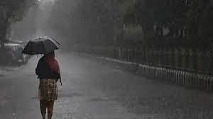 संततधारेने शेतकरी सुखावला; महामार्गावर पाणी साचल्याने प्रवाशांची तारांबळ