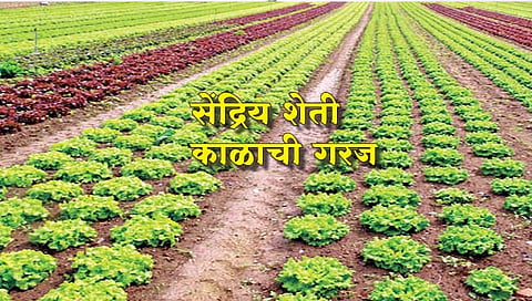 सेंद्रिय शेती काळाची गरज