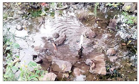 जवळा (ता. पारनेर) : येथील ग्रामपंचायतीच्या दुर्लक्षाने दूषित पाणी पुरवठा पाईपमध्ये जातो. (छाया : सतीश रासकर)