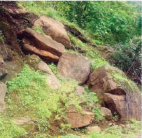 पावसामुळे
करंजावणे-शिवापूर
रस्त्याच्या कुसगाव खिंडीत दरडी कोसळण्याचा धोका निर्माण झाला आहे.
उन्मळून आलेल्या
दरडी.
