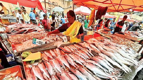 पुणे : मासळी, मटण, चिकन, अंड्यांचे दर स्थिर