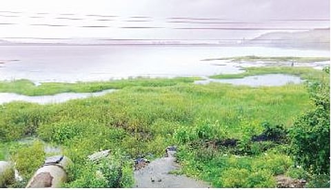 पानशेत खोर्यात मुसळधार पाऊस; पाण्याच्या पातळीत वाढ