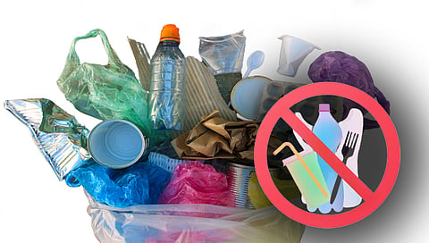 Plastic Ban in Maharashtra : प्लॅस्टिकचा लेप असलेल्या उत्पादनांवर राज्यात बंदी