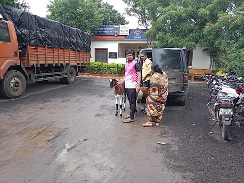शेळ्या चोरणारी टोळी जेरबंद, कुरकुंभ पोलिसांची नागरिकांच्या मदतीने कारवाई