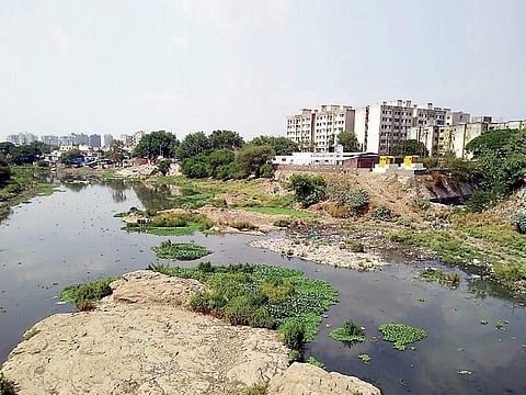 ताथवडे : सांडपाण्यामुळे नदीच्या प्रदुषणात वाढ