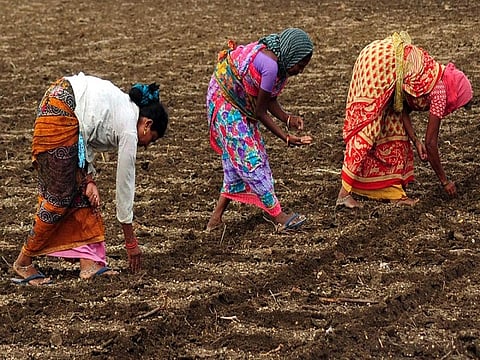 बारामती येथे पावसाची उघडीप; शेतीकामांना वेग