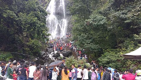 आंबोली धबधबा