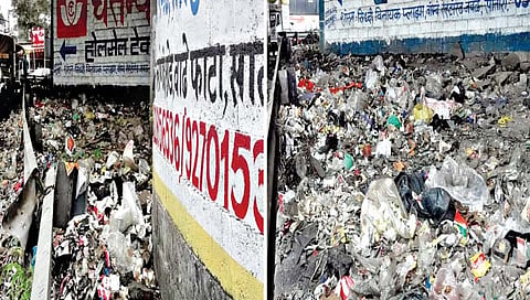 वाढे उड्डाणपुलाखाली कचर्याची बजबजपुरी