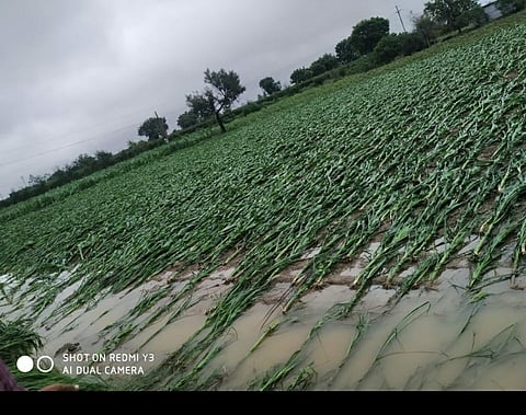 सांगली : खोजनवाडी, उमराणी परिसराला पावसाने झोडपले; शेती पिकांचे मोठे नुकसान