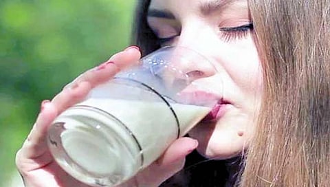 Milk
