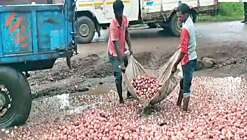 लासलगाव : खड्ड्यांमुळे ट्रॉली उलटली आणि 30 क्विंटल कांदा पाण्यात भिजल्यानंतर तो काढण्यासाठी सुरू असलेली मजुरांची धावपळ. (छाया: राकेश बोरा)