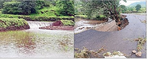 बांदलवाडी (ता. पुरंदर) परिसरात ढगफुटीमुळे मोठ्या प्रमाणात भात शेतीचे झालेले नुकसान.