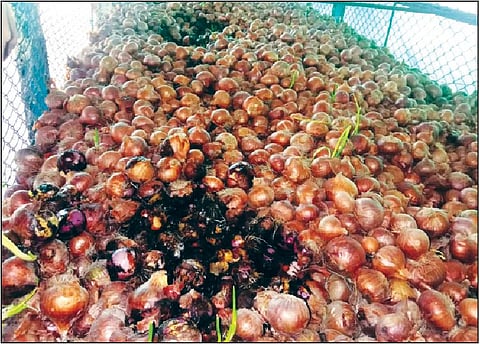 |Pune news