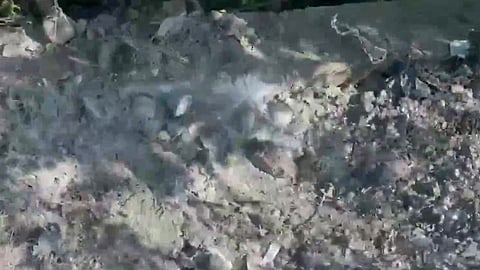 J&K: Indian Army : दहशतवाद्यांना दणका; 30 किलो IED जप्त, मोठा कट उधळला (पाहा व्हिडिओ)