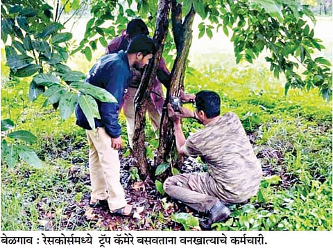 बेळगाव : गोल्फ क्लब परिसरात बिबट्याचे दर्शन?