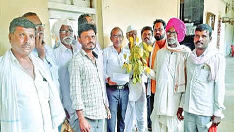 बीड : सोयाबीनवर तांबेरा रोग