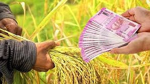 पीक विमा योजनेपासून लोणीतील शेतकरी वंचित