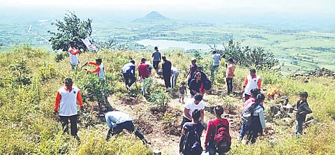 पंचवटी : शिवकार्य गडकोट संवर्धन संस्थेच्या वतीने रामशेजवरील रोपांना आळे करताना स्वयंसेवक.(छाया : गणेश बोडके)